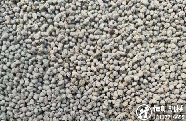 內蒙古年產3萬噸牛糞有機肥造粒線現場(圖3) 牛糞有機肥成品顆粒